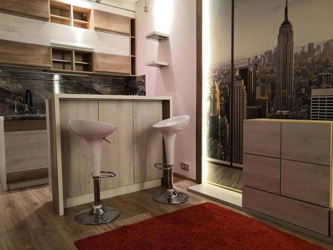 Smart Studio Apartment Kiev Kyiv